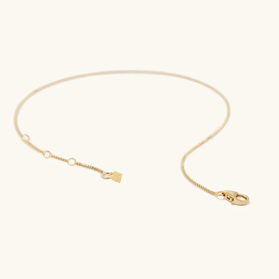 Dainty Chain Anklet